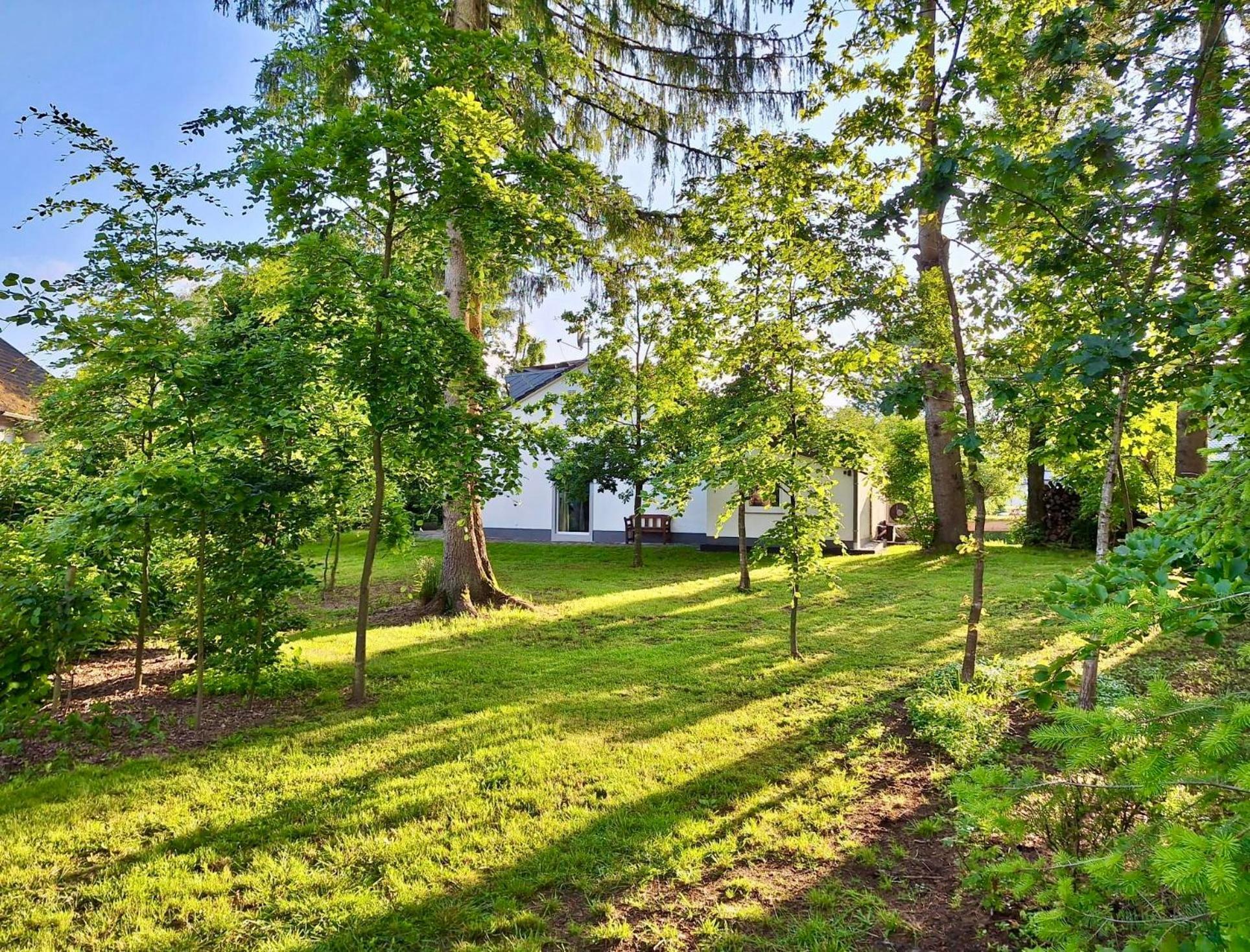 Freiraum Ferienhaus Hellenthal Εξωτερικό φωτογραφία